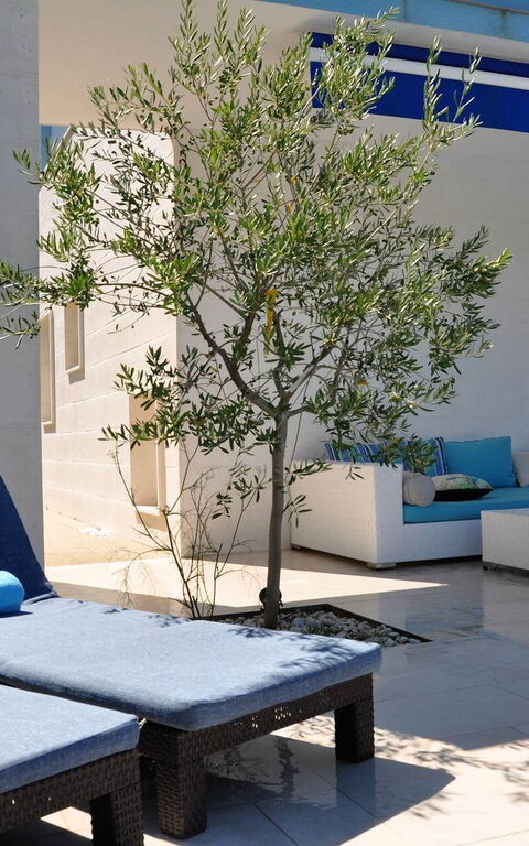 Villa Mermaid: all'aperto, Balcone / Terrazza / Patio, Esterni