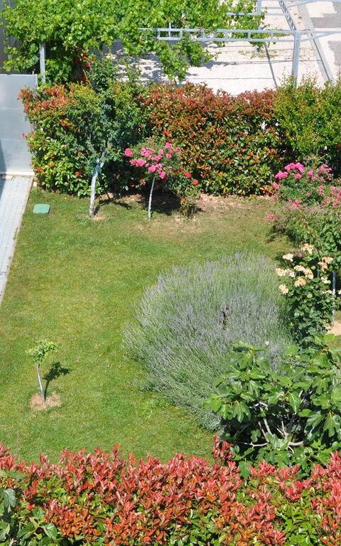 Villa Mermaid: all'aperto, Esterni, Giardino