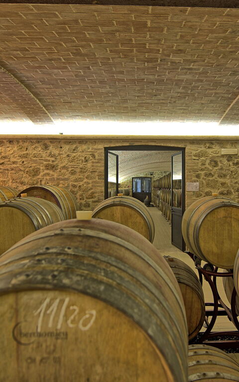 Villa Le Buche: Attività, Caratteristiche