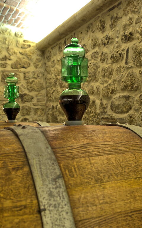 Villa Le Buche: Attività, Caratteristiche