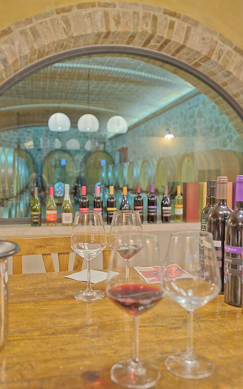 Villa Le Buche: Attività