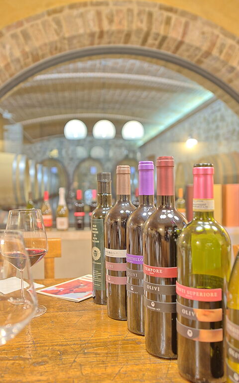 Villa Le Buche: Attività, Caratteristiche