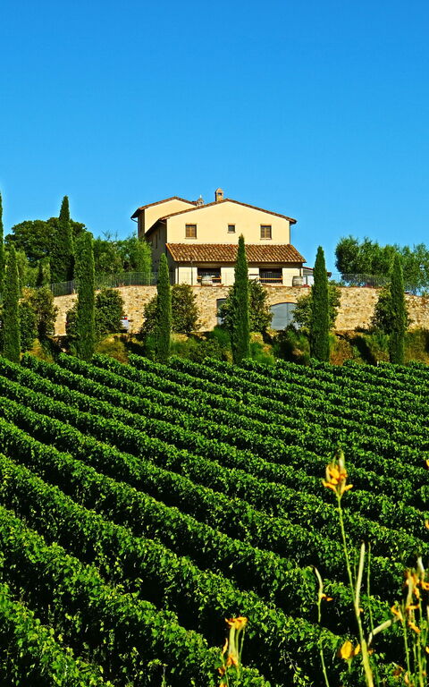Villa Le Buche: all'aperto, Estate, Vista Panoramica