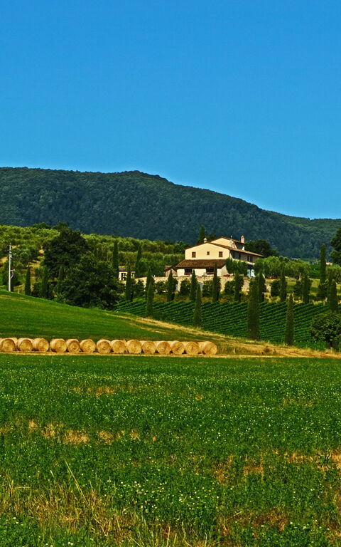 Villa Le Buche: Vista Panoramica