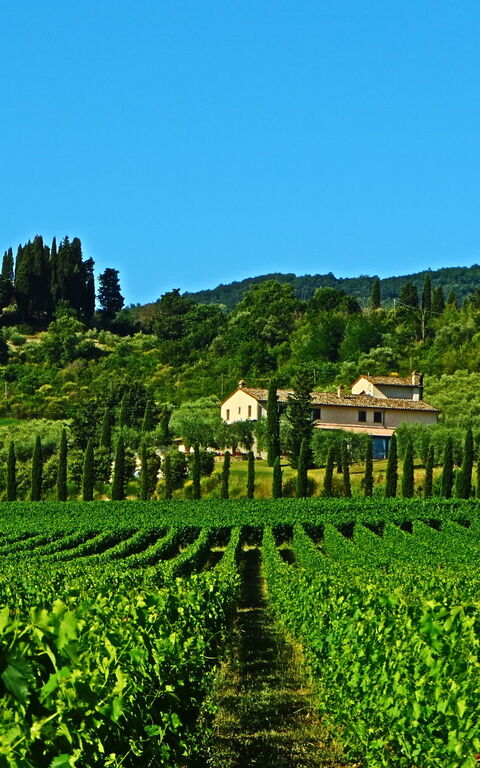 Villa Le Buche: Vista Panoramica