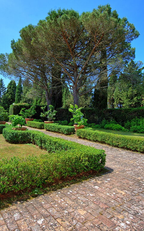 Villa Sorbaiano: all'aperto, Giardino