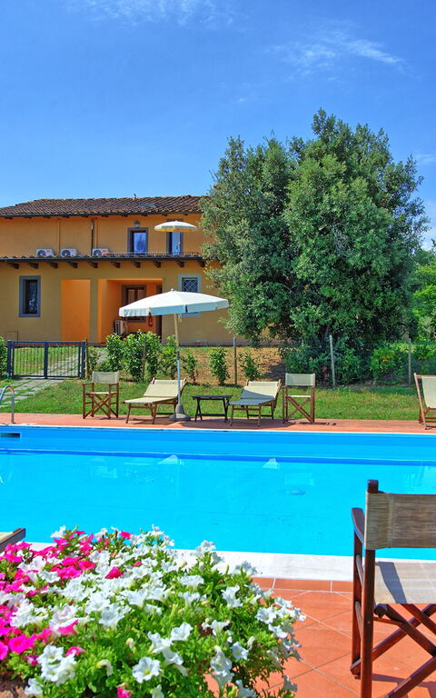 Nicola: all'aperto, Estate, Piscina