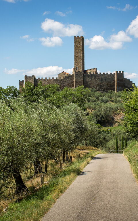Casale Condottiero: Caratteristiche, Vista Panoramica