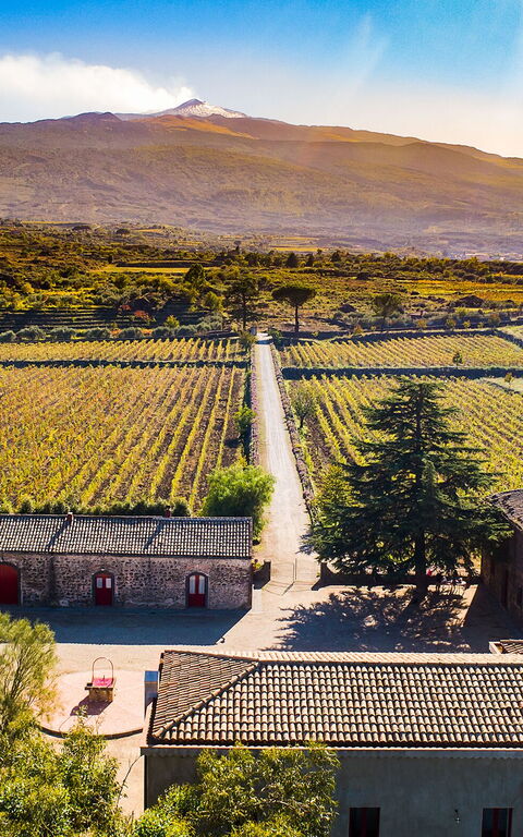 Etna Retreat: all'aperto, Vista Panoramica