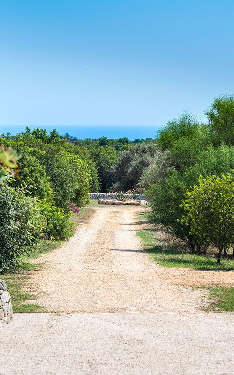 Villa Dimora Pura: all'aperto, Giardino