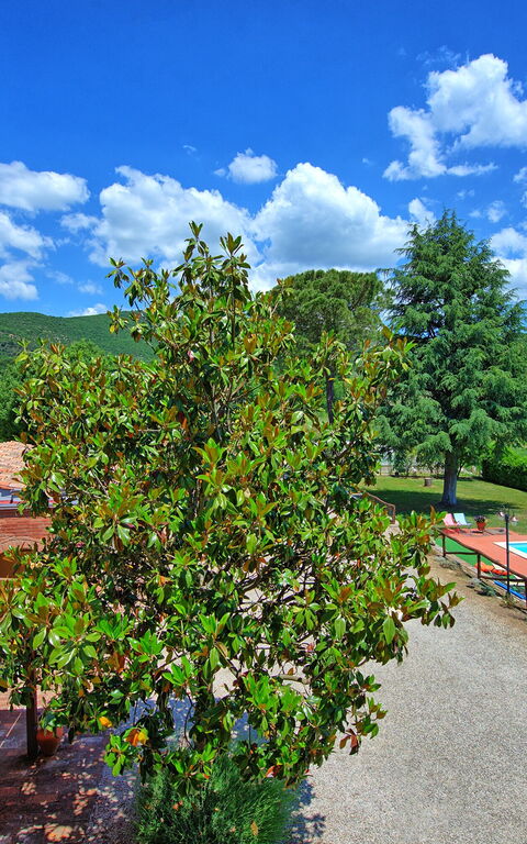 Zeffiro: Vista Panoramica