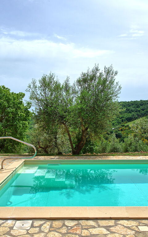 Villa Collina: Piscina