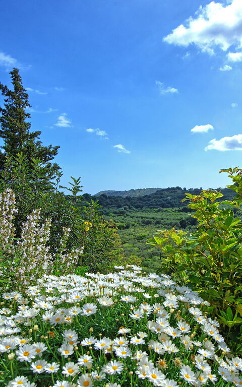Villa Vicilla: all'aperto
