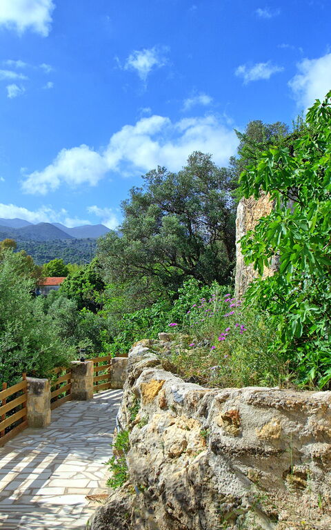 Villa Vicilla: all'aperto