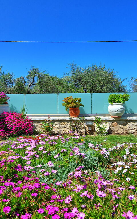 Villa Elaia: all'aperto, Giardino