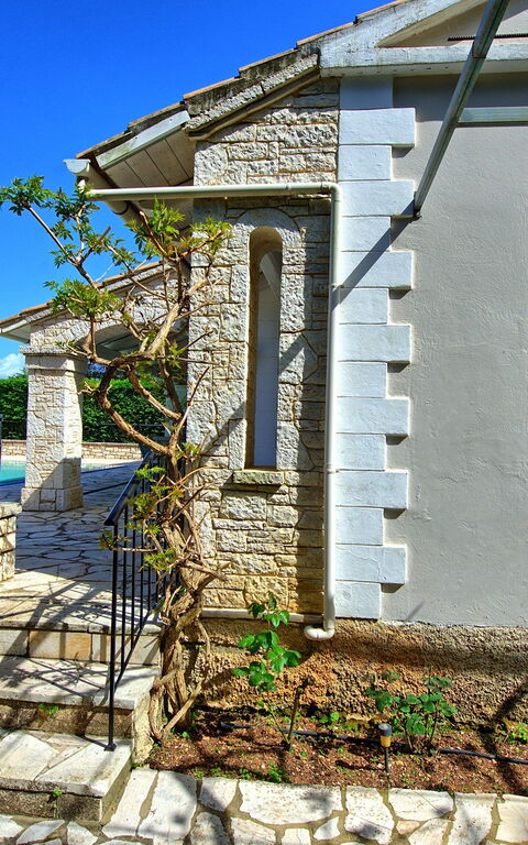 Villa Dimitris: all'aperto, Giardino