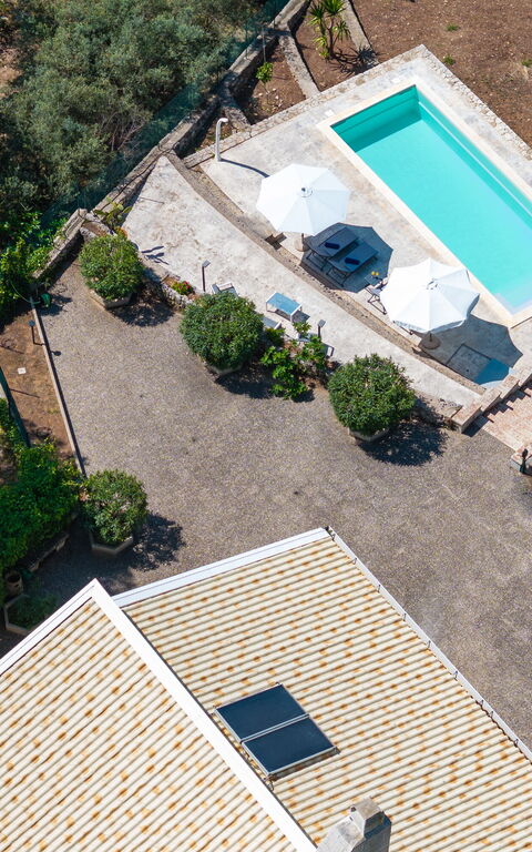 Nerodavola: all'aperto, Esterni, Piscina