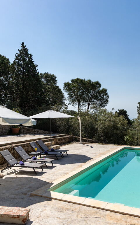 Nerodavola: all'aperto, Esterni, Piscina