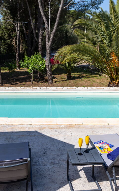 Nerodavola: all'aperto, Esterni, Piscina
