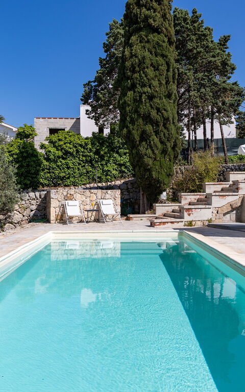 Nerodavola: all'aperto, Esterni, Piscina