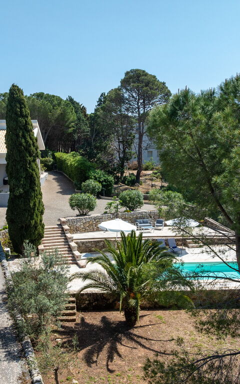 Nerodavola: all'aperto, Esterni, Piscina, Vista Panoramica