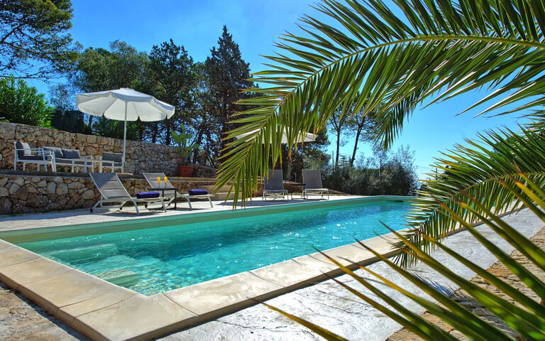 Nerodavola: all'aperto, Estate, Piscina