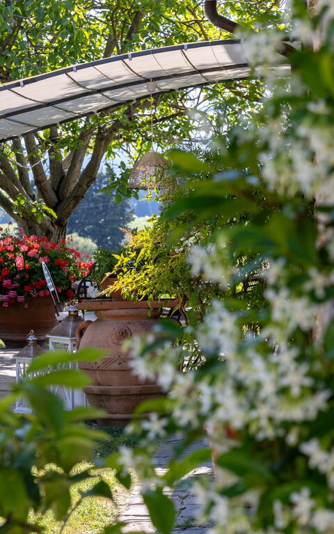 San Guido: all'aperto, Giardino