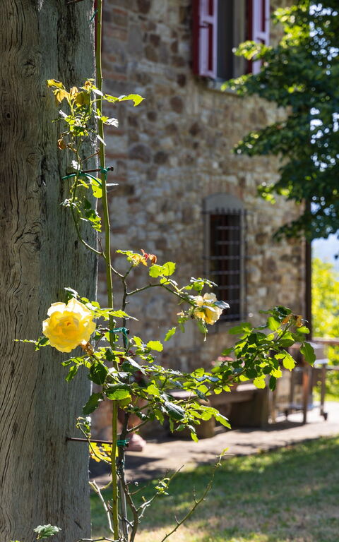 San Guido: all'aperto, Esterni, Giardino