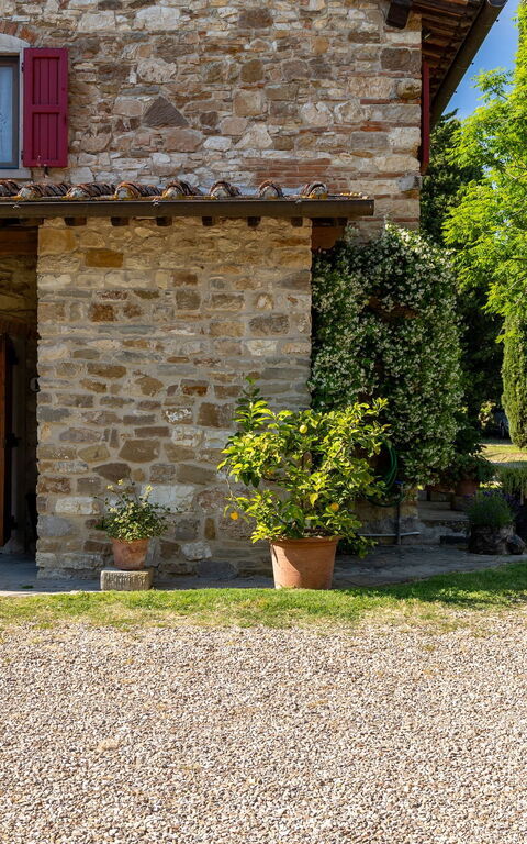 San Guido: all'aperto, Esterni, Giardino