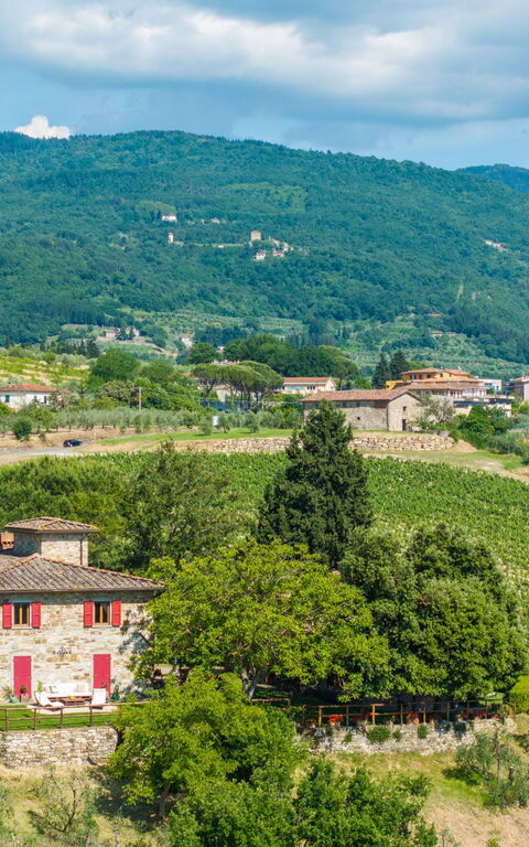 San Guido: all'aperto, Vista Panoramica