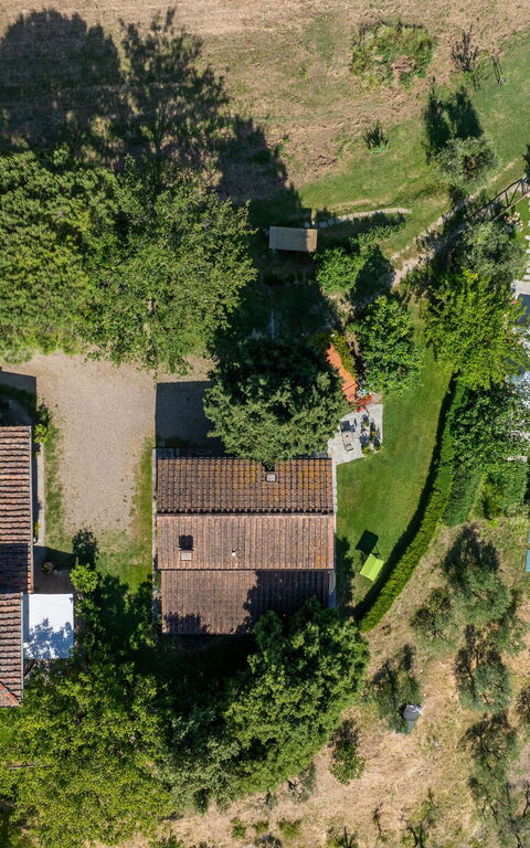 San Guido: all'aperto, Vista Panoramica