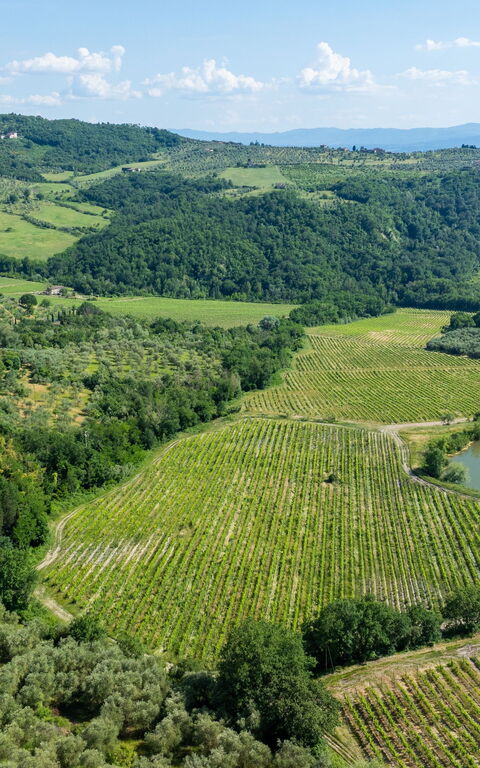 San Guido: all'aperto, Vista Panoramica