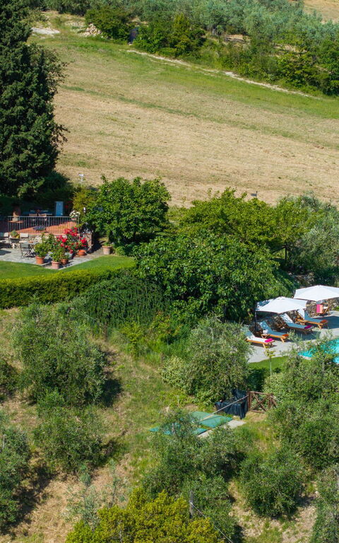 San Guido: all'aperto, Vista Panoramica