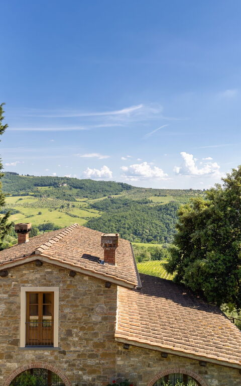 San Guido: all'aperto, Vista Panoramica