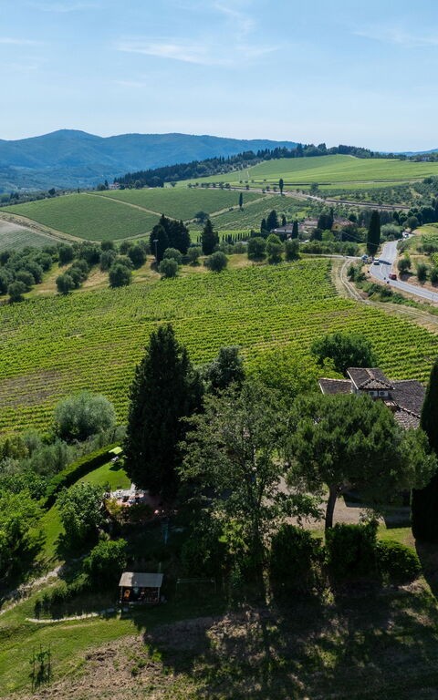 San Guido: all'aperto, Vista Panoramica