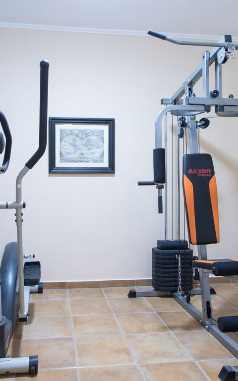 Villa Antina: Attività