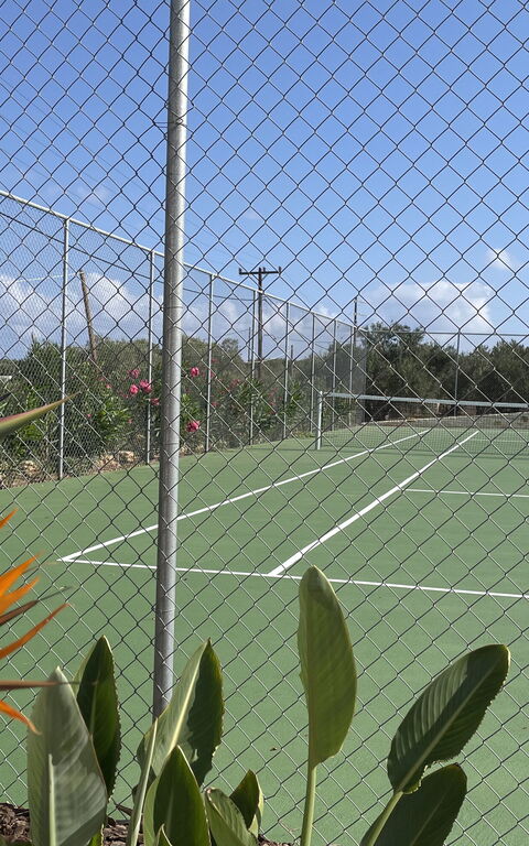 Villa Bluewhite: Attività