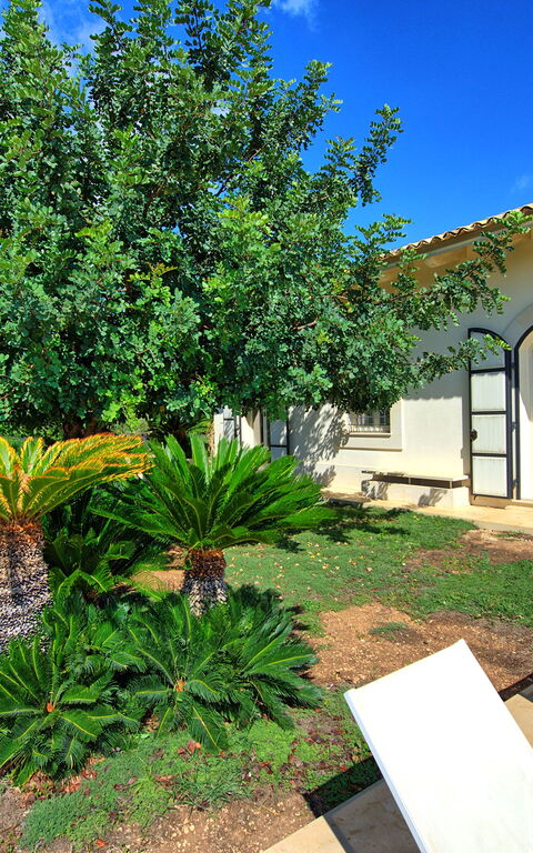 Tenuta Olearum: all'aperto, Estate, Giardino