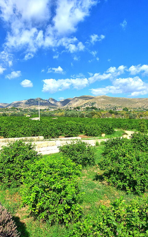 Tenuta Olearum: all'aperto, Estate, Vista Panoramica