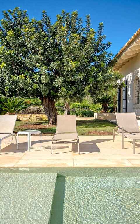 Tenuta Olearum: Piscina