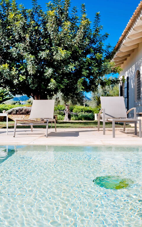 Tenuta Olearum: Piscina