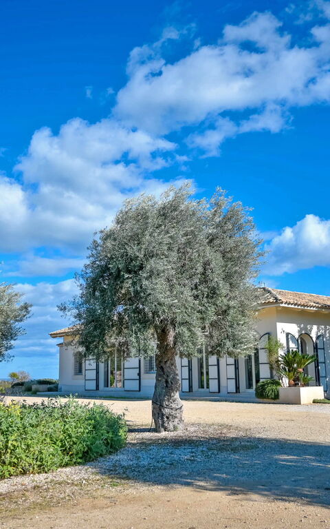 Tenuta Olearum: Estate, Giardino
