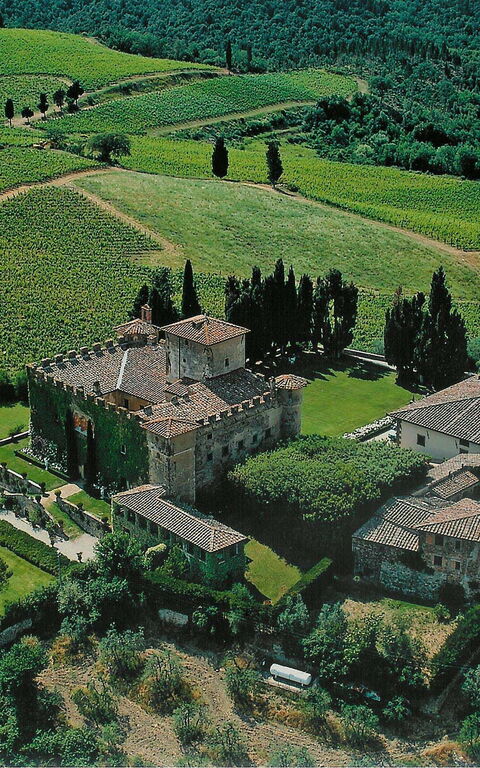 Villa Paneretta: all'aperto