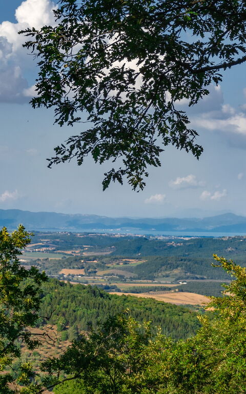 Villa Lucarella: all'aperto