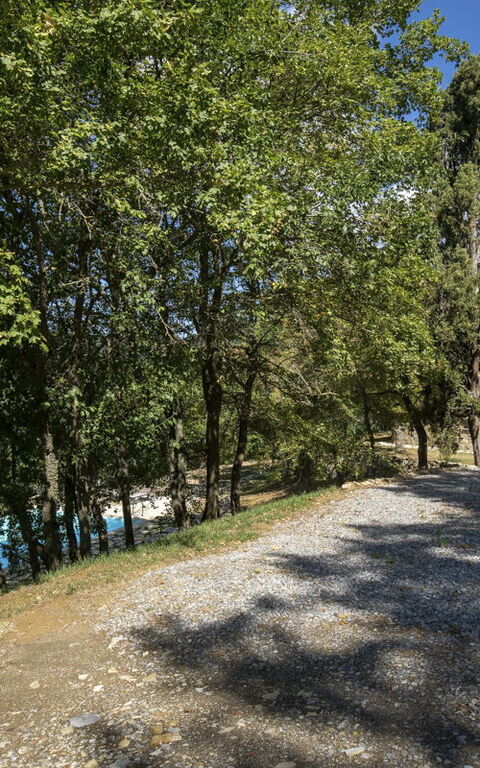 Villa Lucarella: all'aperto, Esterni, Giardino, Piscina