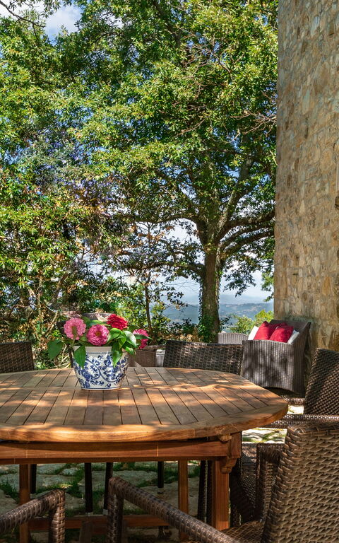 Villa Lucarella: all'aperto, Esterni, Giardino