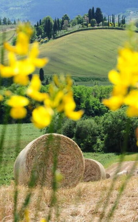 Palazzo Bello: all'aperto