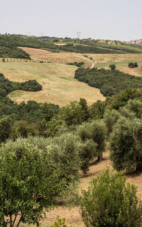 Villa Chiugi: Vista Panoramica