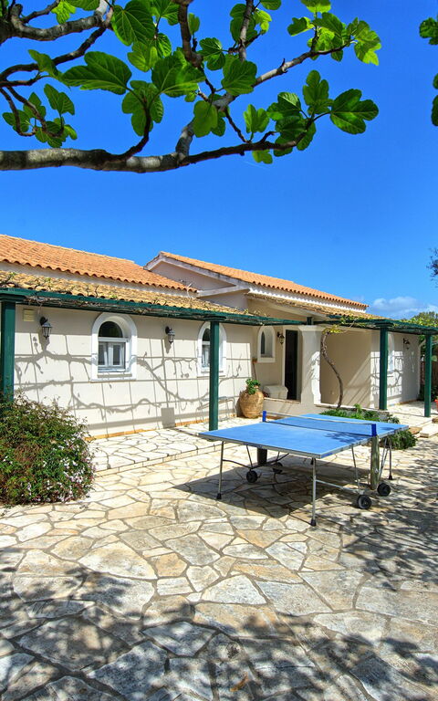 Votana House: Esterni, Giardino