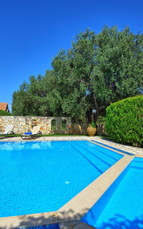 Votana House: Piscina